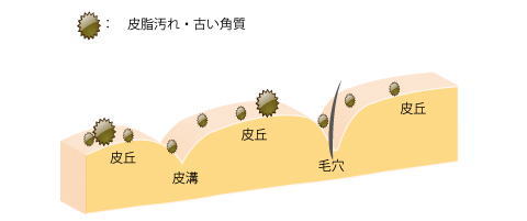 皮脂汚れ